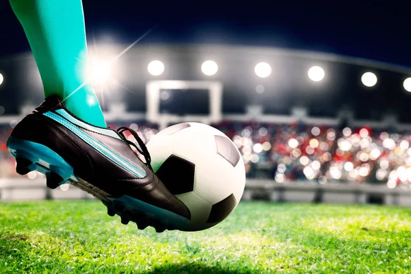Kết quả bóng đá V.League 2024–2025: Nam Định vững ngôi đầu, cuộc đua trụ hạng kịch tính