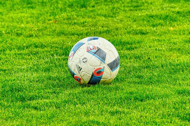 Kết quả bóng đá V.League 2024–2025