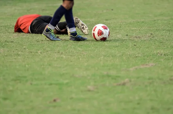 Huấn luyện viên AFF Cup nữ 2024 – Phân tích chuyên sâu hành trình thắng lợi