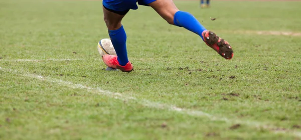 Huấn luyện viên AFF Cup nữ 2024